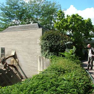 Monkey House Exterior at Frankfurt 31/08/10