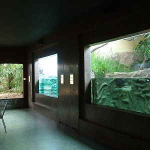 Bird House exhibits at Frankfurt 31/08/10