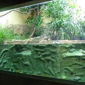 Grebe Exhibit at Frankfurt 31/08/10