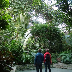 Bird House Interior at Frankfurt 31/08/10