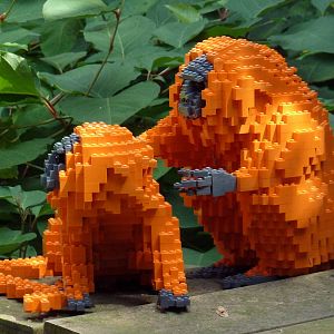 Carnivore Kingdom - LEGO Display - Golden Lion Tamarins
