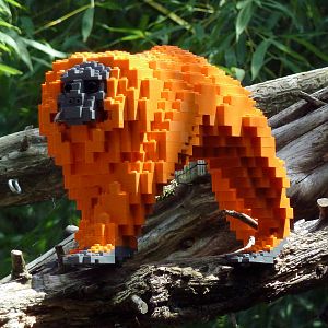 Carnivore Kingdom - LEGO Display - Golden Lion Tamarin