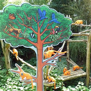 Carnivore Kingdom - LEGO Display - Golden Lion Tamarin Exhibit