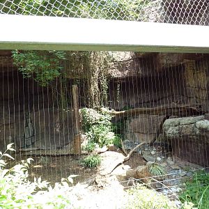 Carnivore Kingdom -Snow Leopard Exhibit