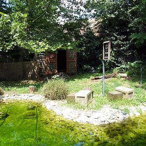 Carnivore Kingdom - Brown Pelican Exhibit