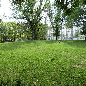 Addax/Mhorr Gazelle/African Crowned Crane/Saddle-Billed Stork Exhibit