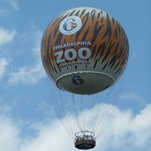 Zoo Hot Air Balloon