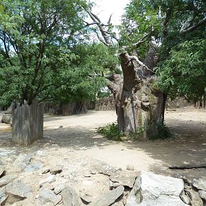 White Rhino/Zebra Exhibit