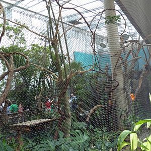 McNeil Avian Center - Built In 1916 - Rhinoceros Hornbill Exhibit