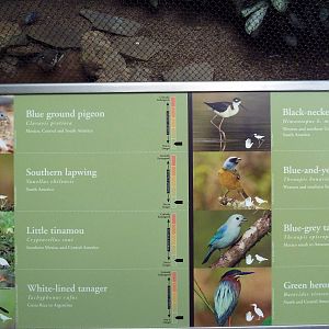 McNeil Avian Center - Built In 1916 - Signage