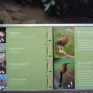 McNeil Avian Center - Built In 1916 - Signage
