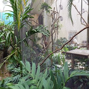 McNeil Avian Center - Built In 1916