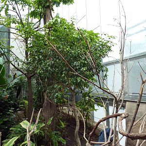 McNeil Avian Center - Built In 1916