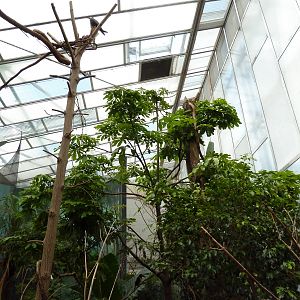 McNeil Avian Center - Built In 1916