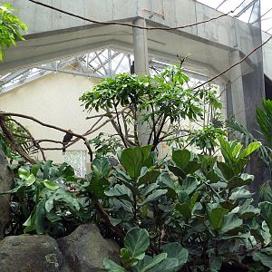 McNeil Avian Center - Built In 1916