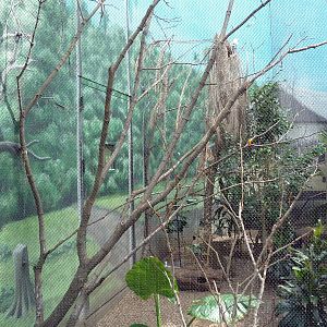 McNeil Avian Center - Built In 1916