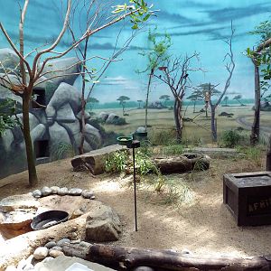 McNeil Avian Center - Built In 1916