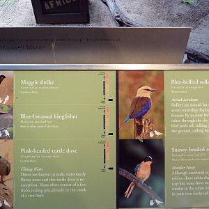 McNeil Avian Center - Built In 1916 - Signage