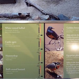 McNeil Avian Center - Built In 1916 - Signage