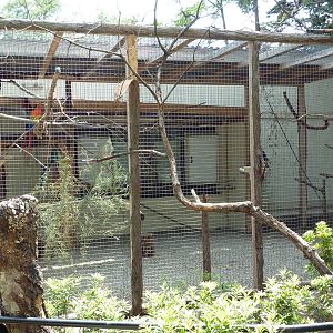 Macaw Exhibit