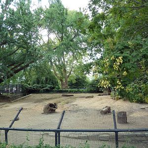 Mara/Capybara Exhibit