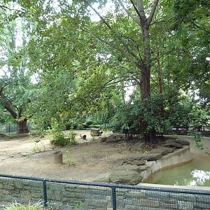 Mara/Capybara Exhibit