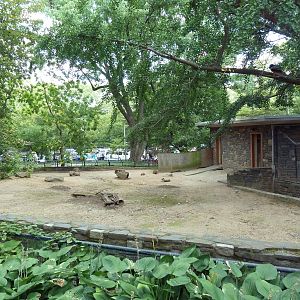 Mara/Capybara Exhibit