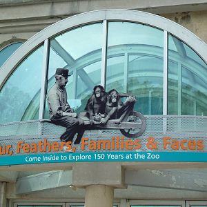 Rare Animal Conservation Center - Special Exhibition Sign