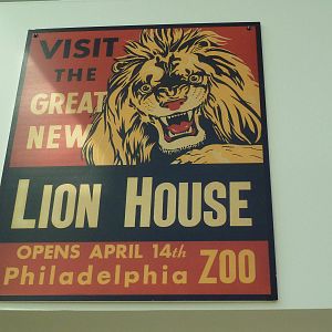 Rare Animal Conservation Center - Special Exhibition Poster