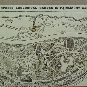 Rare Animal Conservation Center - Proposed Zoo Map