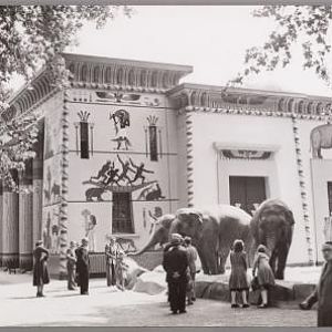 Old elephant house in Antwerp Zoo