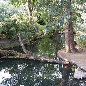 stork and ibis aviary 030910