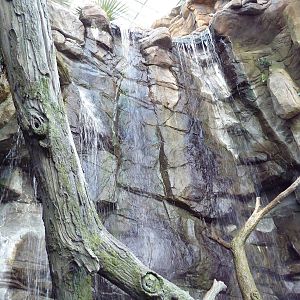 Animal Planet Australia: Wild Extremes