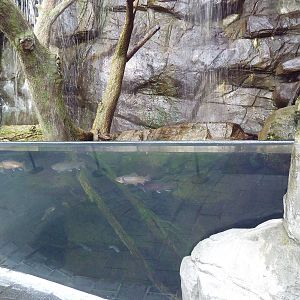 Animal Planet Australia: Wild Extremes