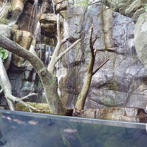 Animal Planet Australia: Wild Extremes