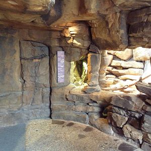 Animal Planet Australia: Wild Extremes