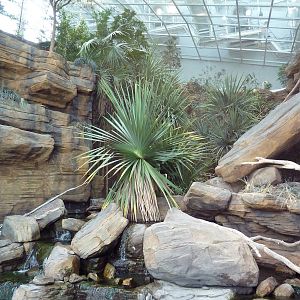 Animal Planet Australia: Wild Extremes