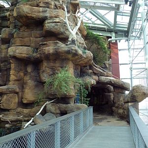 Animal Planet Australia: Wild Extremes