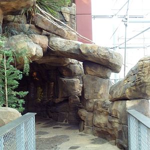 Animal Planet Australia: Wild Extremes