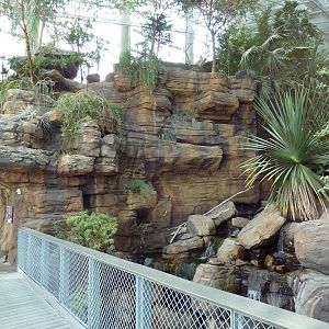 Animal Planet Australia: Wild Extremes