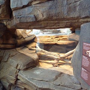 Animal Planet Australia: Wild Extremes