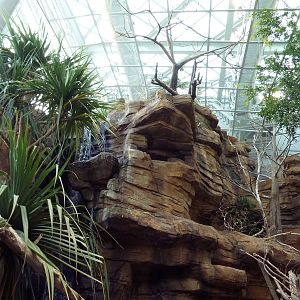 Animal Planet Australia: Wild Extremes