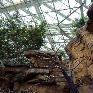 Animal Planet Australia: Wild Extremes