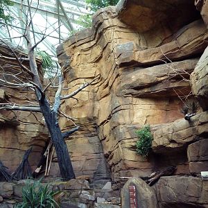 Animal Planet Australia: Wild Extremes