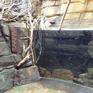 Animal Planet Australia: Wild Extremes