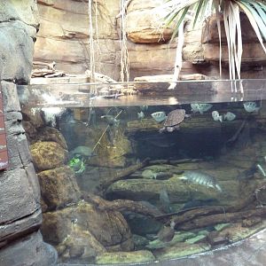 Animal Planet Australia: Wild Extremes