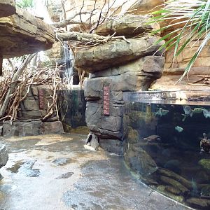 Animal Planet Australia: Wild Extremes