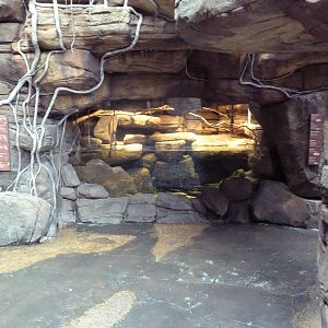 Animal Planet Australia: Wild Extremes