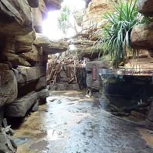 Animal Planet Australia: Wild Extremes