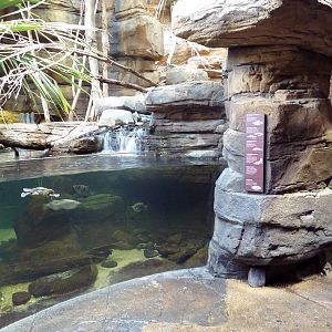 Animal Planet Australia: Wild Extremes